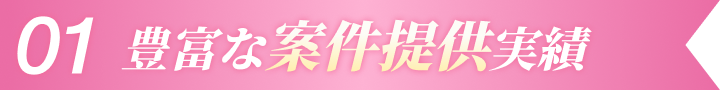 豊富な案件提供実績